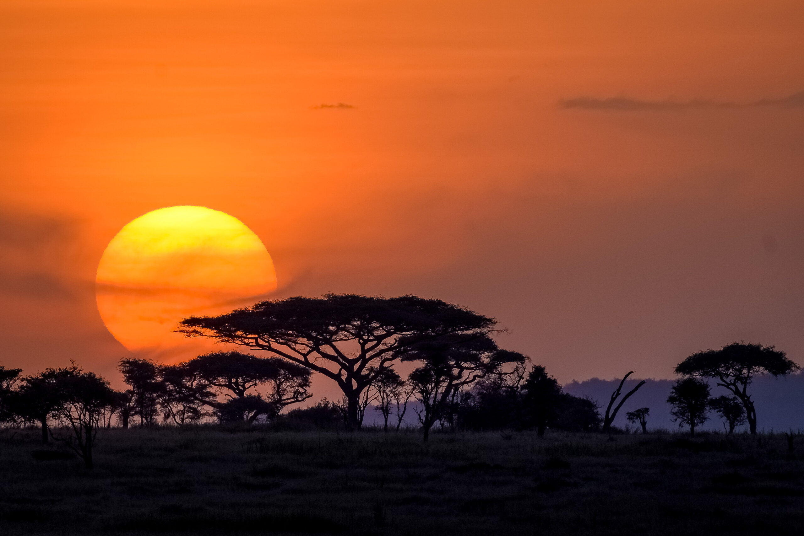 Central Serengeti Landscape
