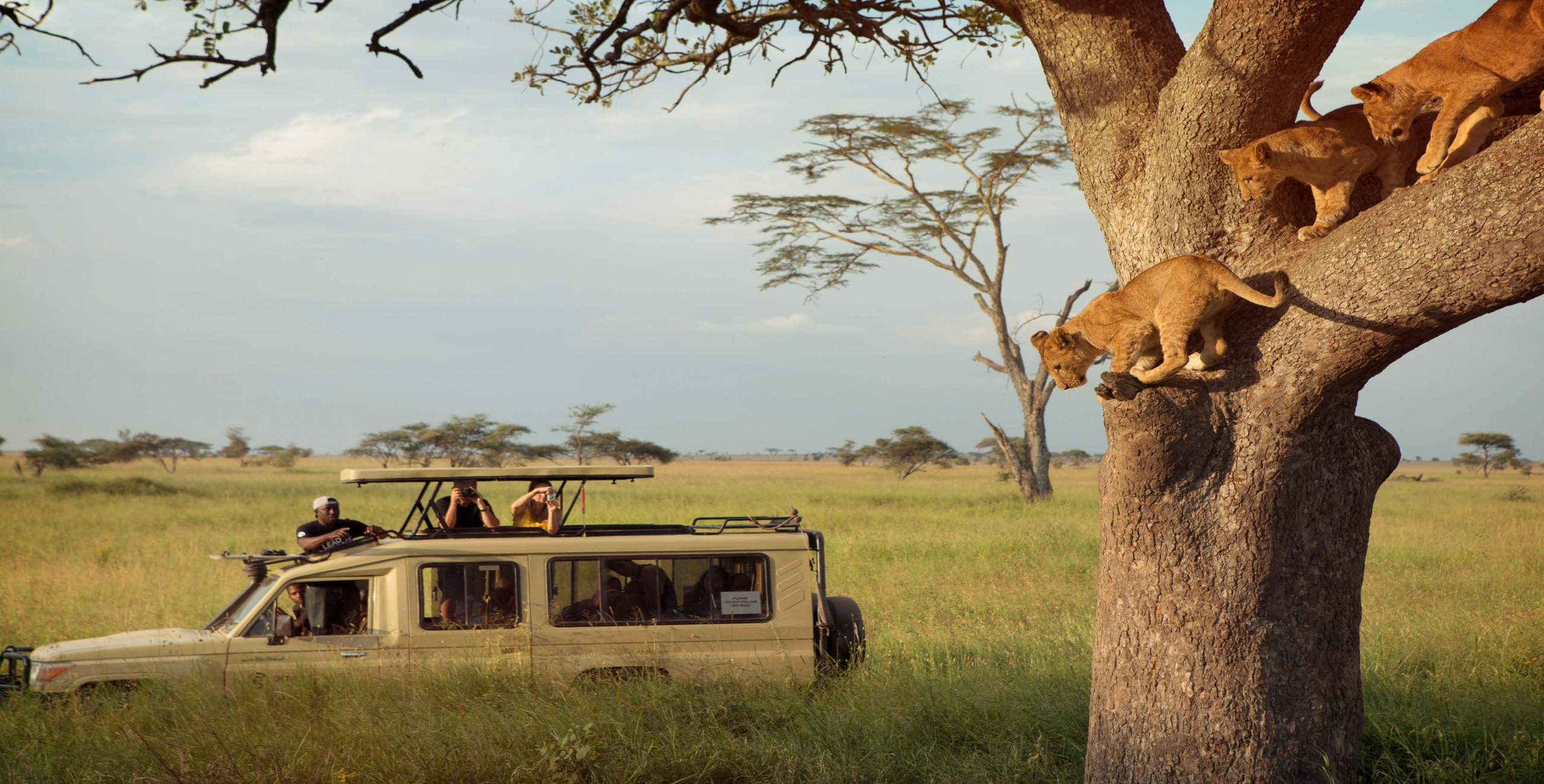 Northern Serengeti Landscape